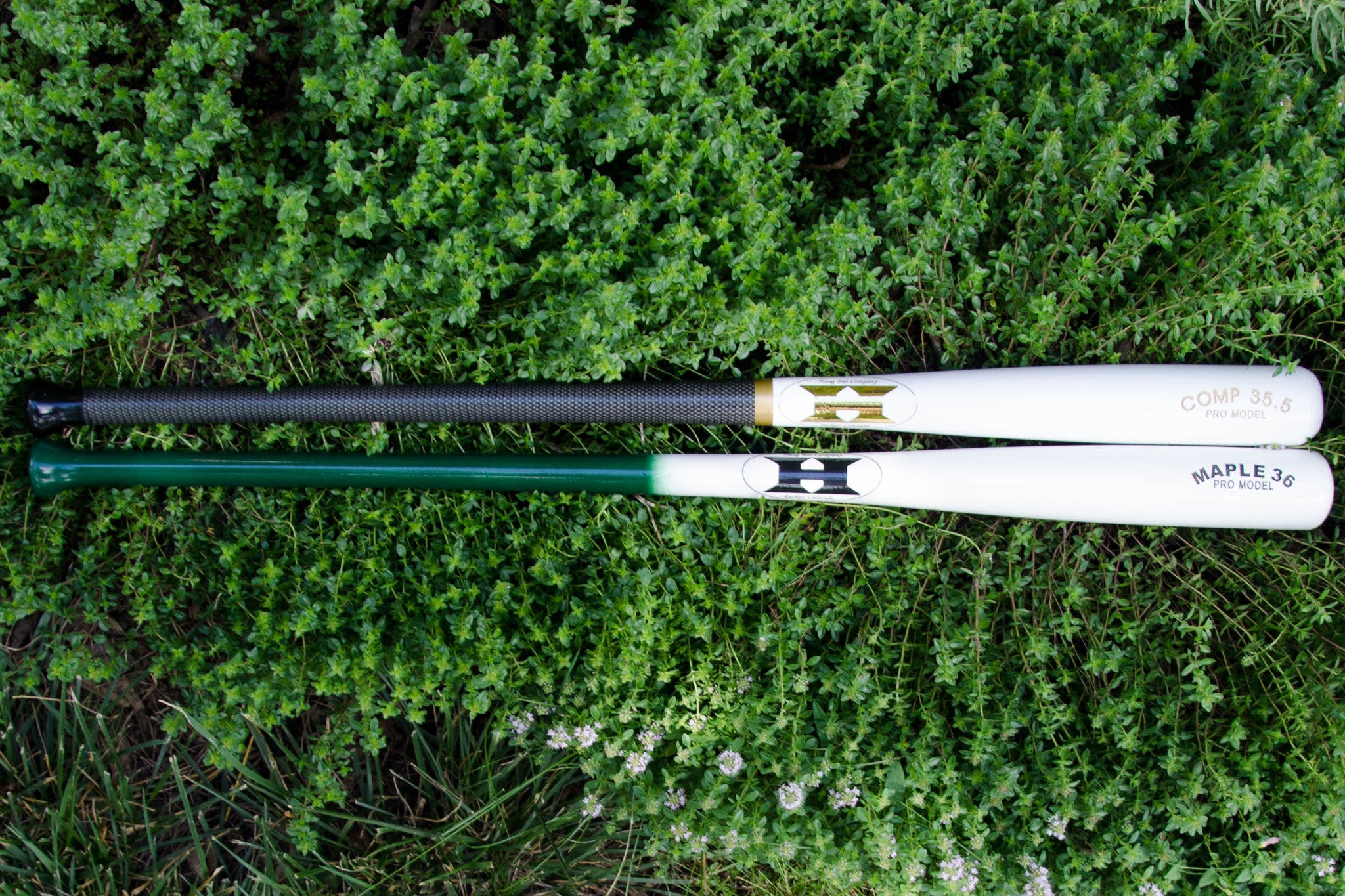 Maple Fungo